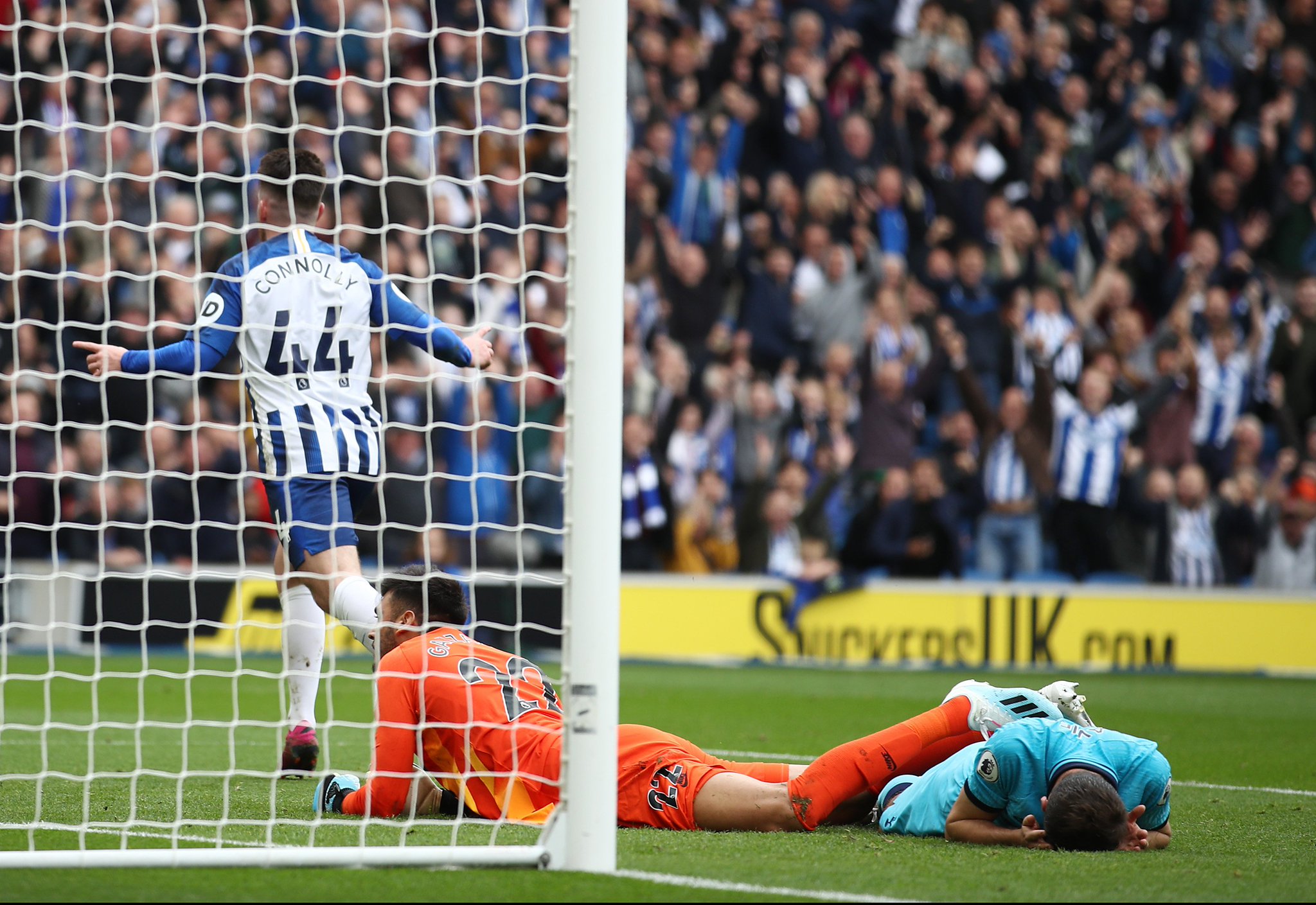 可以预见 可以预见